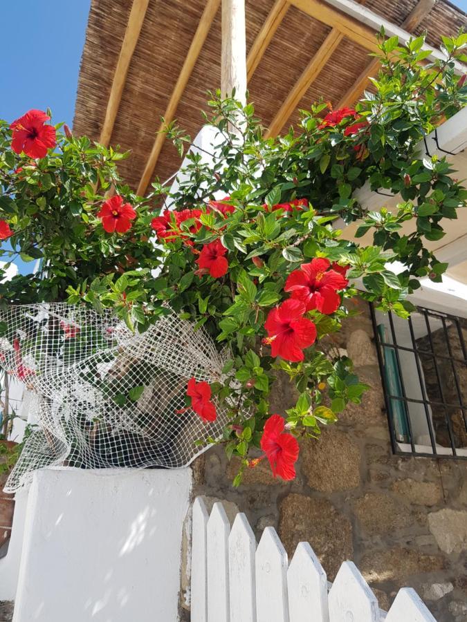 Вилла Hibiscus Rosa Mykonos Mykonos Town Экстерьер фото