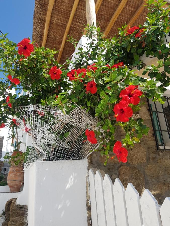 Вилла Hibiscus Rosa Mykonos Mykonos Town Экстерьер фото